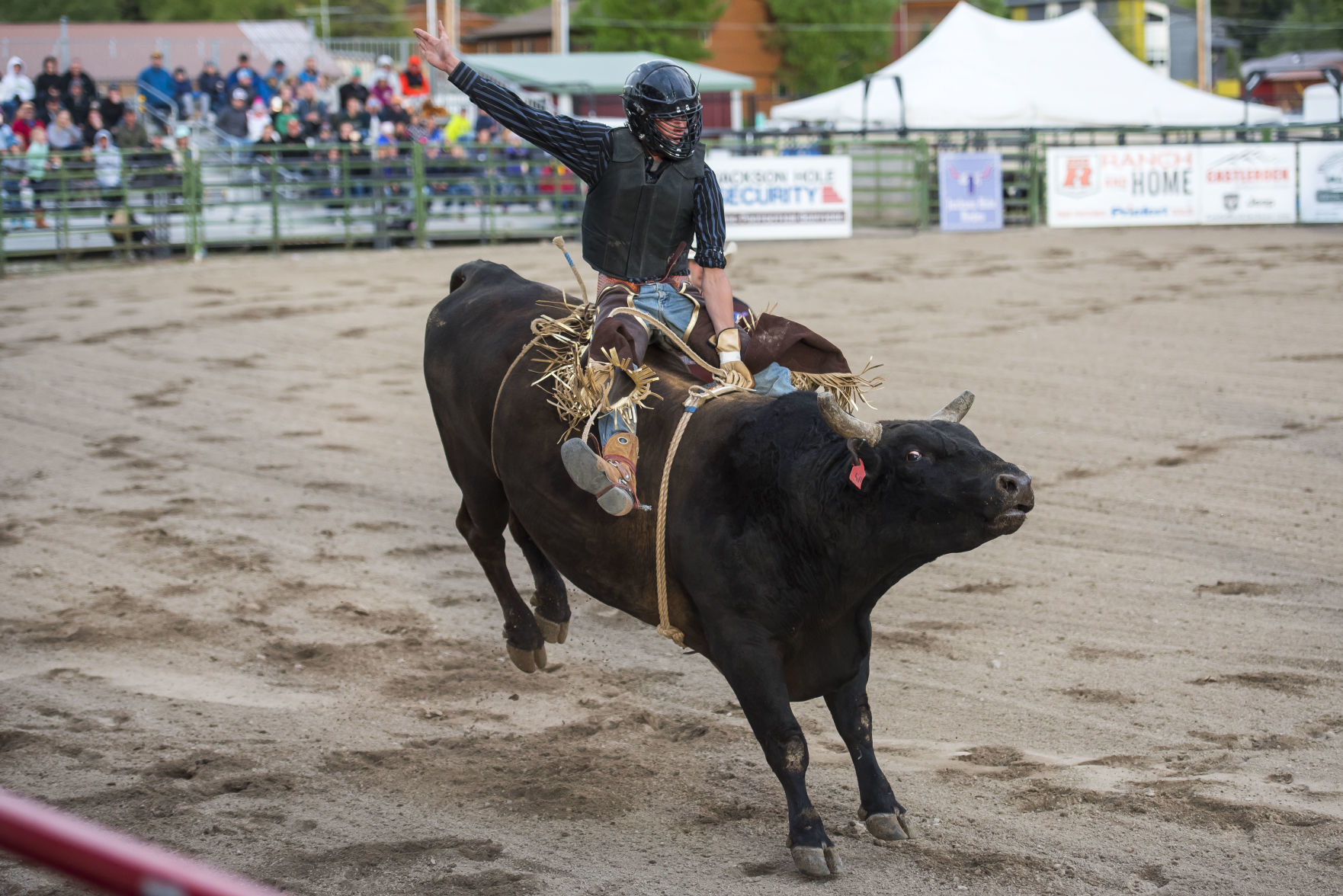 Jackson Hole Rodeo